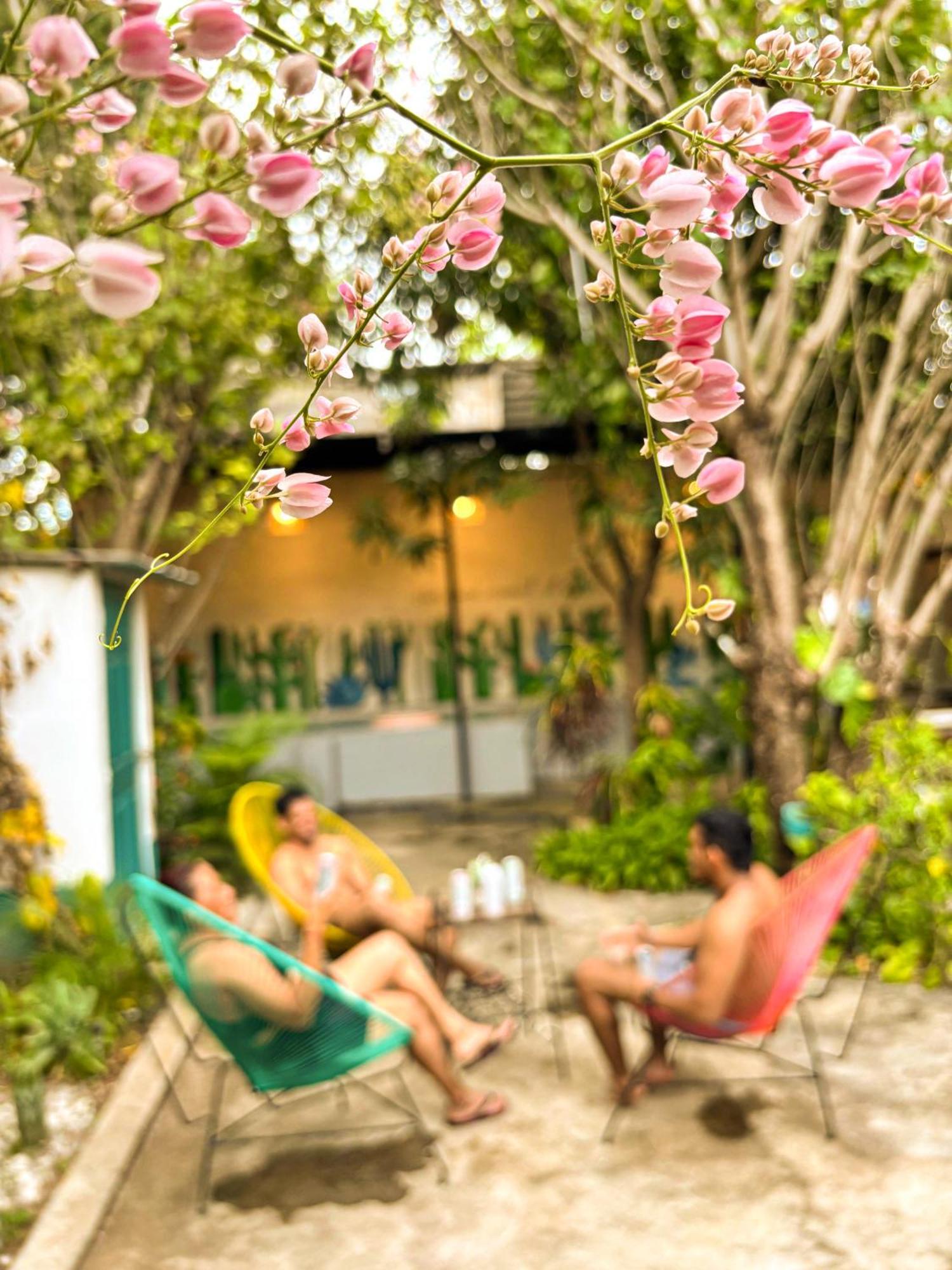 Hostal El Rio León Exteriér fotografie